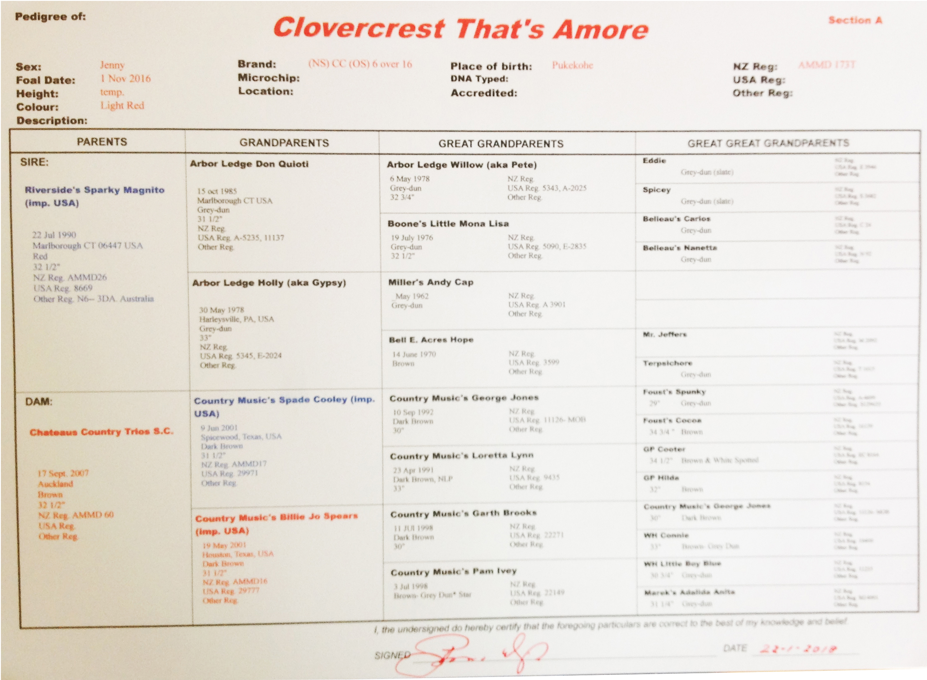 Clovercrest that's Amore Pedigree