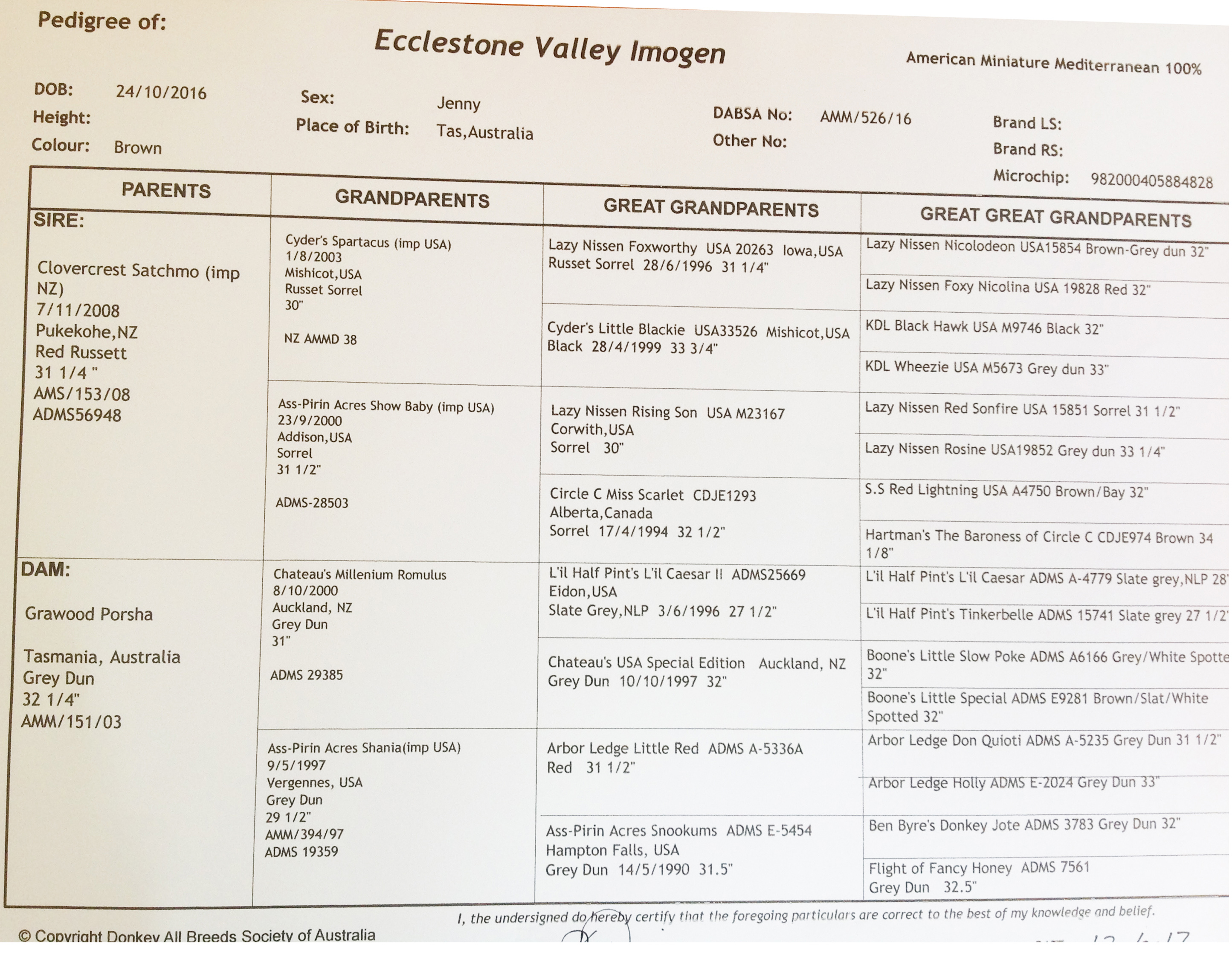 Ecclestone Valley Imogen Pedigree